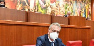 Ocm vino, Gallo “Un milione per l’ammodernamento dei vigneti calabresi”