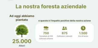 Tiscali “The Greenest” grazie a 25.000 alberi piantati con Sidi