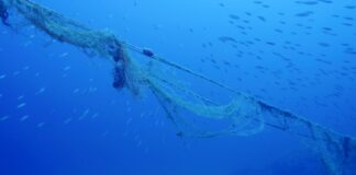 In un anno Marevivo ha rimosso 4 km di reti fantasma