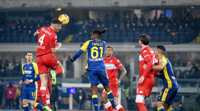 Lasagna e Castrovilli, Verona-Fiorentina 1-1