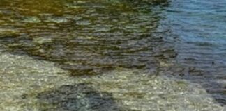 Sardegna, Solinas “6 milioni ai comuni contro l’erosione costiera”