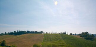 Agriturismo, strutture in aumento anche nel 2020