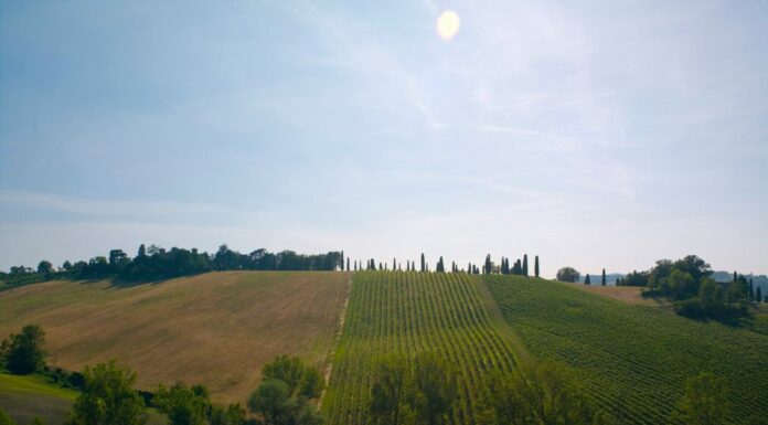 Agriturismo, strutture in aumento anche nel 2020