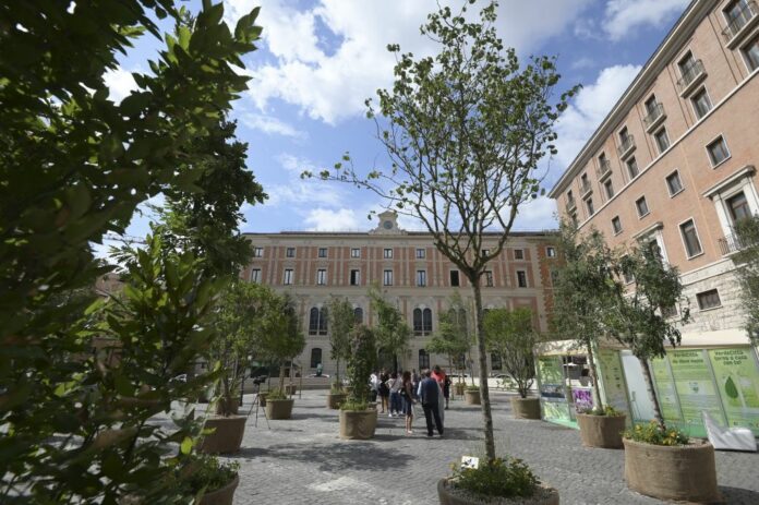 VERDECITTA' UN BOSCO IN PIAZZA SAN SILVESTRO