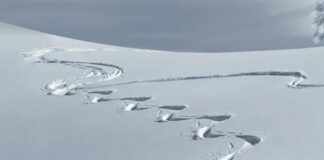 In Piemonte vaccini sulle piste di tre stazioni sciistiche