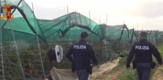 Sfruttavano braccianti pagandoli 5 euro l’ora, due denunce nel Nisseno