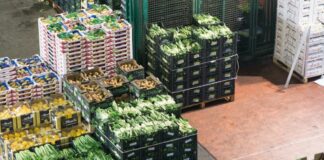 Nei primi 9 mesi del 2021 commercio agroalimentare Ue in crescita