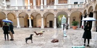 Il “Branco” di Velasco si insedia al Palazzo Reale di Palermo