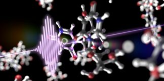 Grazie al laser scoperti meccanismi protezione del Dna dalla luce solare