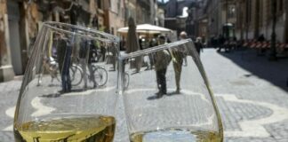 Agrinsieme, appello a Patuanelli a difesa del settore vitivinicolo