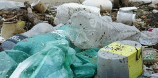 Nuove regole per la plastica monouso, Wwf “Importante passo avanti”