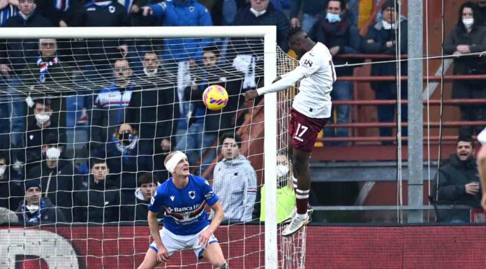 Caputo illude la Sampdoria, rimonta Toro a Marassi