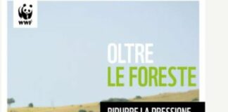 Clima, Wwf “I consumi dell’Ue minacciano ecosistemi cruciali”