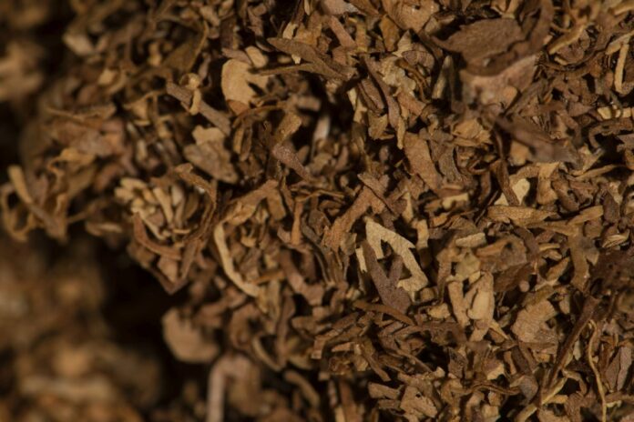 INDUSTRIA DEL TABACCOTABAGISMO FUMOVIZIO DELTRINCIATOFUMARE