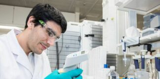 Anemia falciforme, una terapia per prevenire le crisi vaso-occlusive