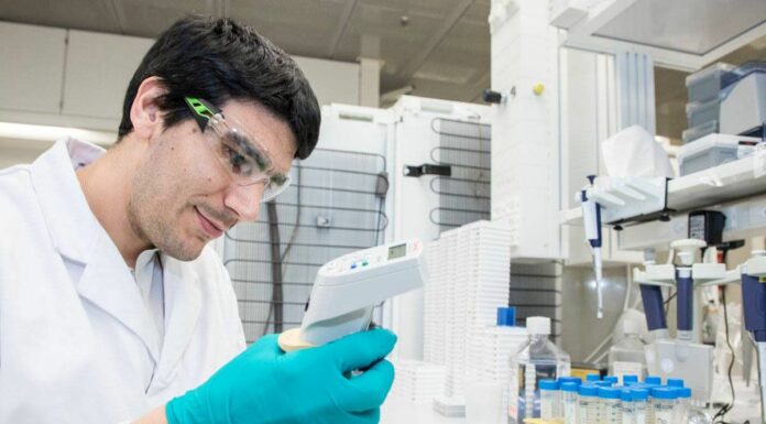 Anemia falciforme, una terapia per prevenire le crisi vaso-occlusive