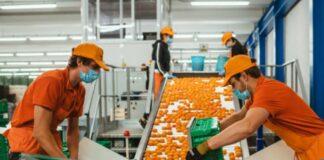 Caro bollette, Federalimentare “A rischio 40mila posti nel settore”