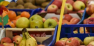 Agroalimentare, nel III trimestre 2021 Pil +2,6%