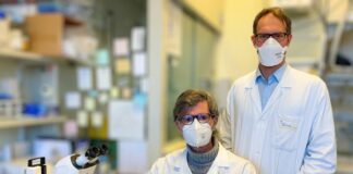 Sla, accumuli proteici nel sistema nervoso periferico dei pazienti