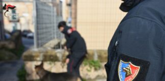 Armi e droga, sei arresti a Palermo