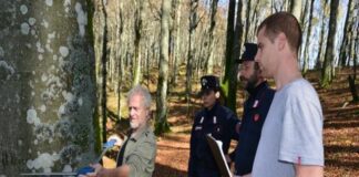 Carabinieri forestali in campo per difendere i boschi italiani