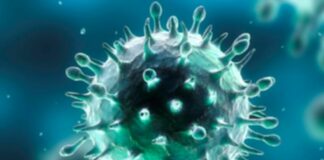 Covid, in Calabria 1.508 nuovi positivi e 18 decessi