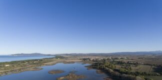 Il 2 febbraio torna la Giornata internazionale delle Zone Umide