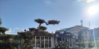 Sanremo, “Sulle strade della musica” aprirà domani CasaSiae