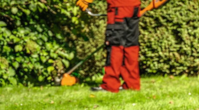 Lavori di pubblica utilità a Venezia, al via progetti per 61 cittadini