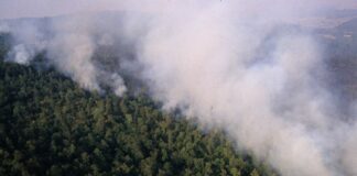 Incendi, prorogate all’11/3 le domande di contributo in Sardegna