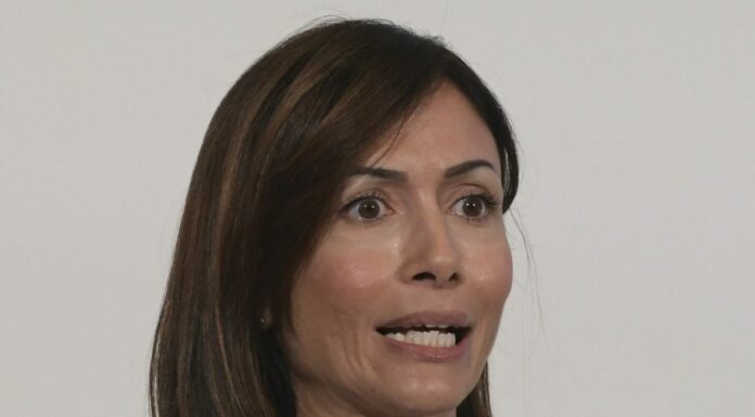 Centrodestra, Carfagna “L’alleanza regge se c’è una linea comune”