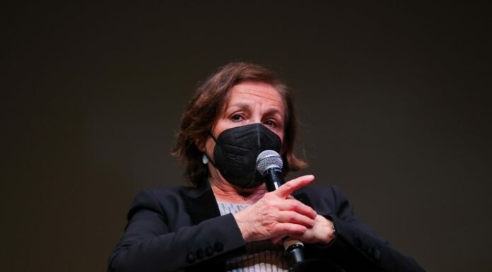 Lamorgese “Alcune manifestazioni infiltrate da chi cerca incidenti”