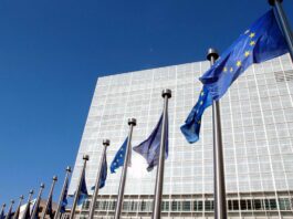 Mar Rosso, l’Unione Europea raddoppia a 20 milioni il sostegno alle Forze armate di Gibuti