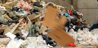 Rifiuti, Bottacin “Veneto al primo posto in Italia per la differenziata”