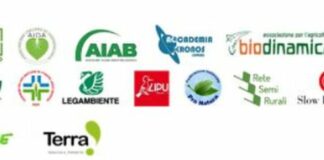 Nuova Pac, Associazioni deluse dal documento inviato alla Commissione Ue