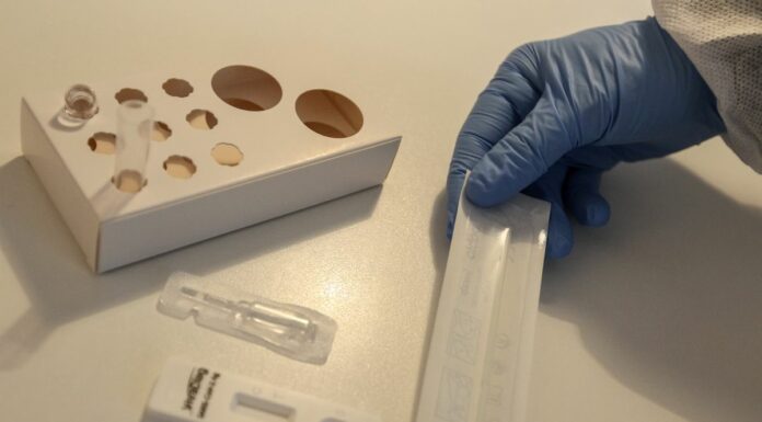 Iss, In calo incidenza, Rt medio e trasmissibilità Covid