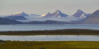 Nella tundra artica umidità e vegetazione controllano lo scambio di CO2