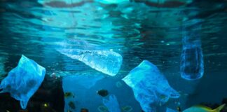 Marevivo rilancia la petizione per l’approvazione della Legge Salvamare