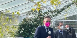 Bologna si candida tra le 100 città Ue a zero emissioni entro il 2030