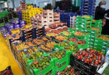Commercio agroalimentare dell’Unione Europea, nel 2025 export record a 238,4 miliardi di euro