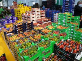 Commercio agroalimentare dell’Unione Europea, nel 2025 export record a 238,4 miliardi di euro