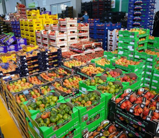 Commercio agroalimentare dell’Unione Europea, nel 2025 export record a 238,4 miliardi di euro