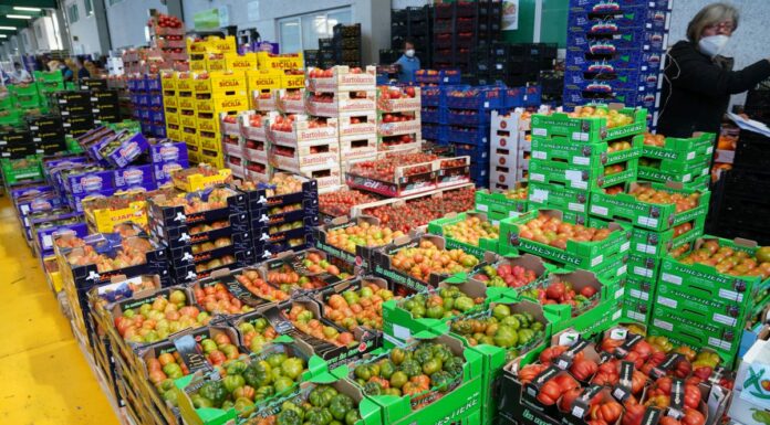 Agroalimentare, nel 2021 l’export dei distretti verso quota 20 miliardi