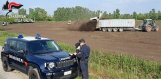 Carabinieri Forestali, in Lombardia aumentano reati e denunce