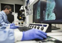 Il 18 giugno a Roma la XX Conferenza dei ricercatori italiani nel mondo