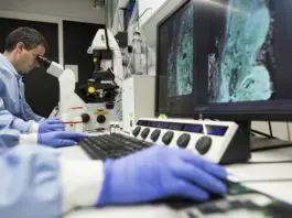 Il 18 giugno a Roma la XX Conferenza dei ricercatori italiani nel mondo