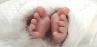 Cardiopatie congenite per 1 neonato su 100, Sin-Sicp “Serve prevenzione”