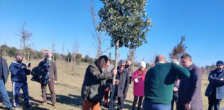 Roma, un nuovo bosco di 500 querce nel Parco di Aguzzano