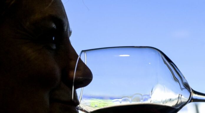 BuyWine, Giani e Saccardi inaugurano la vetrina del vino made in Tuscany