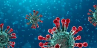 Covid, in Calabria 1.683 nuovi positivi e 10 decessi